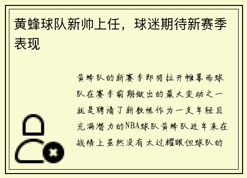 黄蜂球队新帅上任，球迷期待新赛季表现